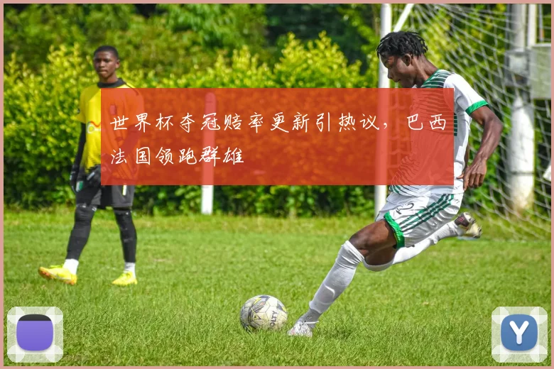 世界杯夺冠赔率更新引热议，巴西法国领跑群雄