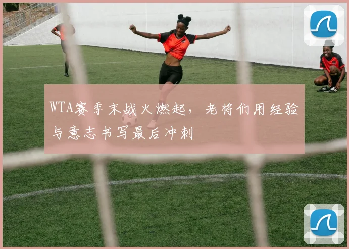 WTA赛季末战火燃起，老将们用经验与意志书写最后冲刺