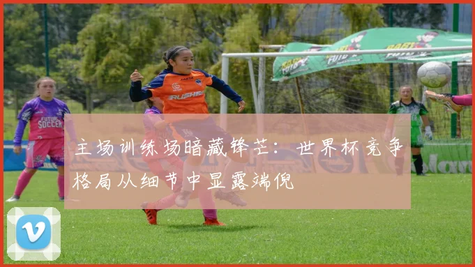 主场训练场暗藏锋芒：世界杯竞争格局从细节中显露端倪