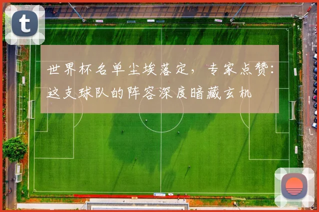 世界杯名单尘埃落定，专家点赞：这支球队的阵容深度暗藏玄机
